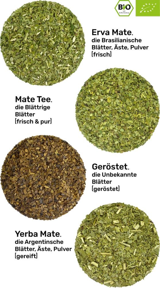 Mate tea tasting set